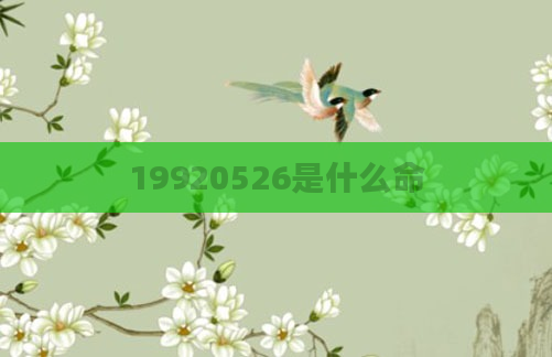 19920526是什么命