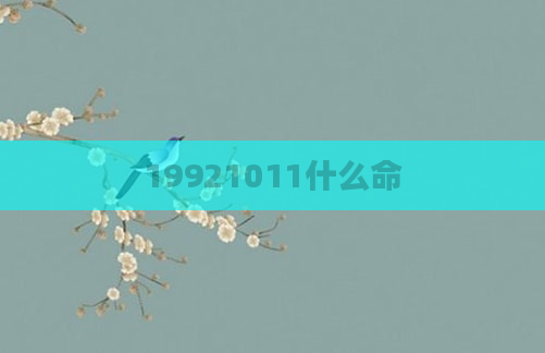 19921011什么命