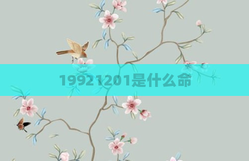 19921201是什么命