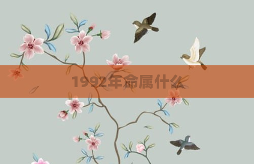 1992年命属什么