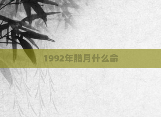 1992年腊月什么命