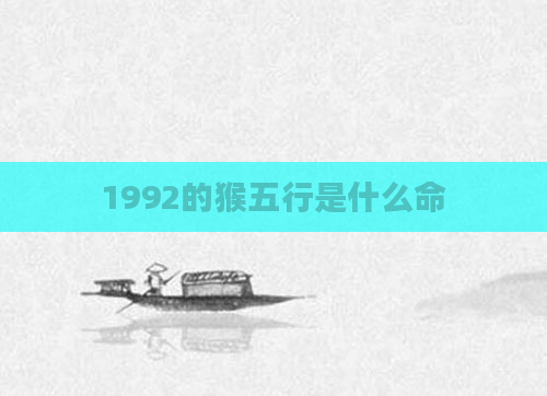 1992的猴五行是什么命