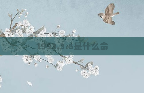 1993.3.6是什么命
