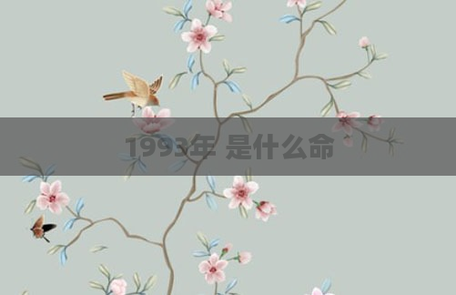 1993年 是什么命