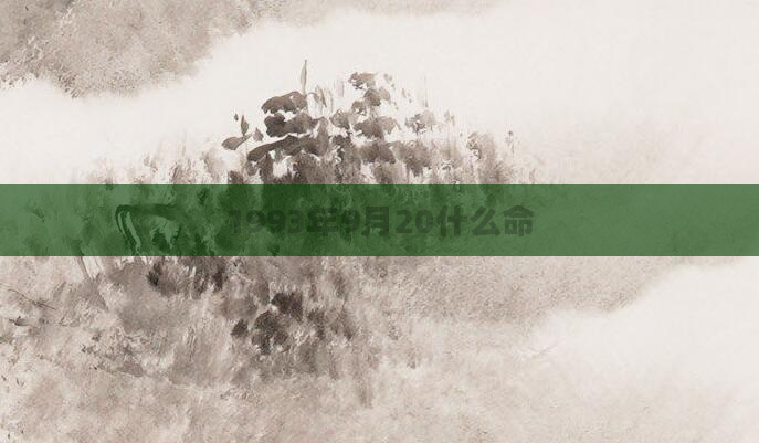 1993年9月20什么命