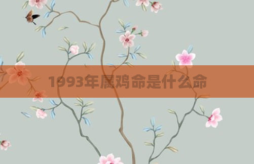 1993年属鸡命是什么命