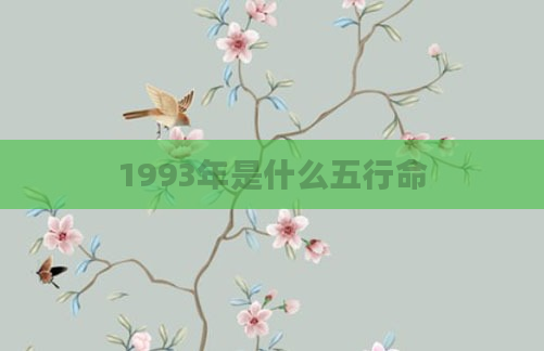 1993年是什么五行命