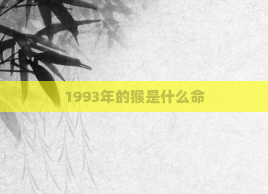 1993年的猴是什么命