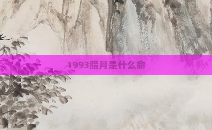 1993腊月是什么命