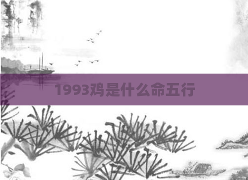 1993鸡是什么命五行