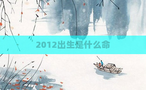 2012出生是什么命