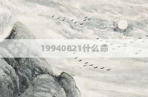 19940821什么命