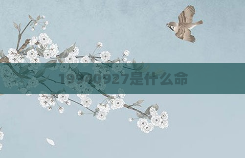 19940927是什么命