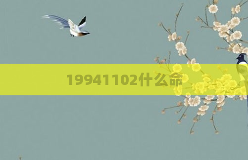 19941102什么命