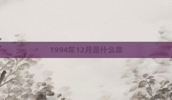 1994年12月是什么命