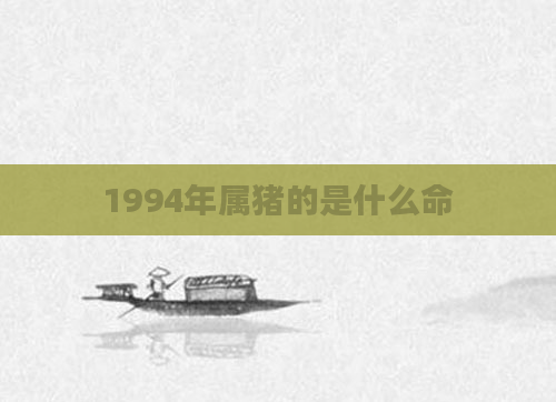1994年属猪的是什么命
