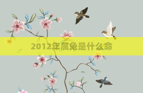 2012年属兔是什么命