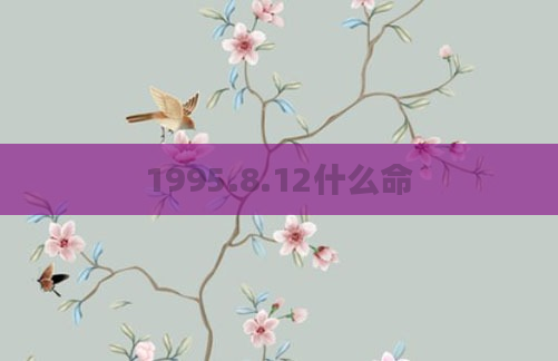 1995.8.12什么命