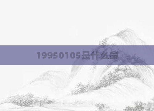 19950105是什么命