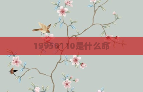 19950110是什么命