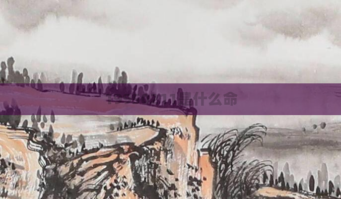 19950211是什么命