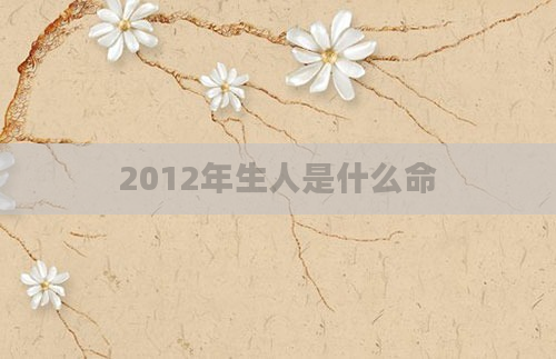 2012年生人是什么命