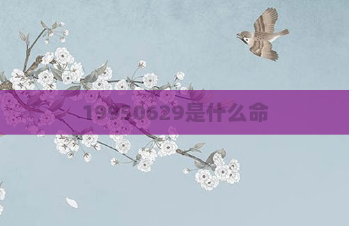 19950629是什么命