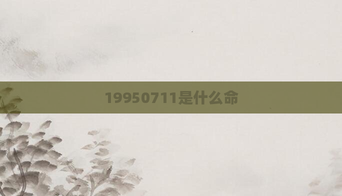 19950711是什么命