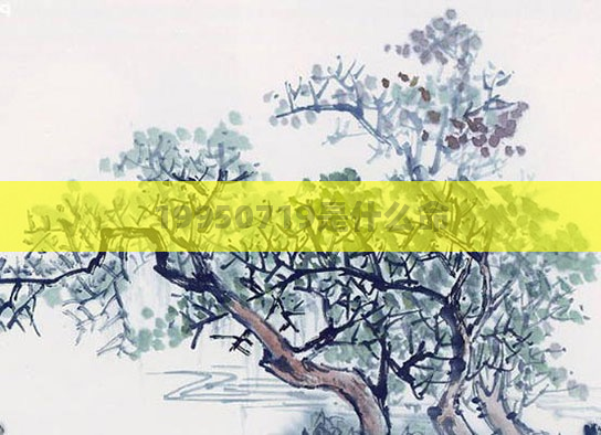 19950719是什么命