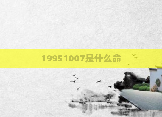 19951007是什么命