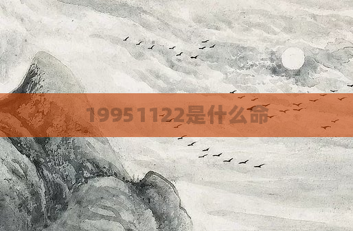 19951122是什么命