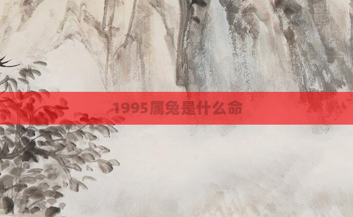 1995属兔是什么命