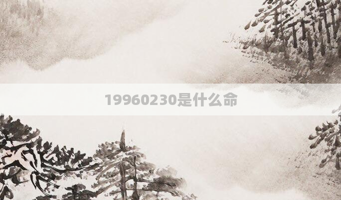 19960230是什么命