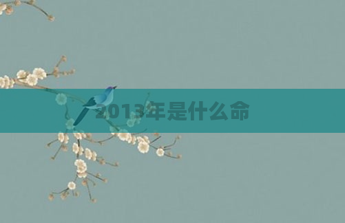 2013年是什么命
