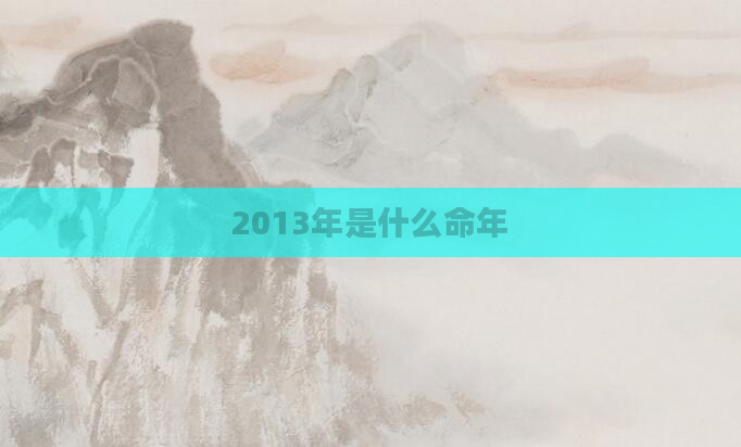 2013年是什么命年