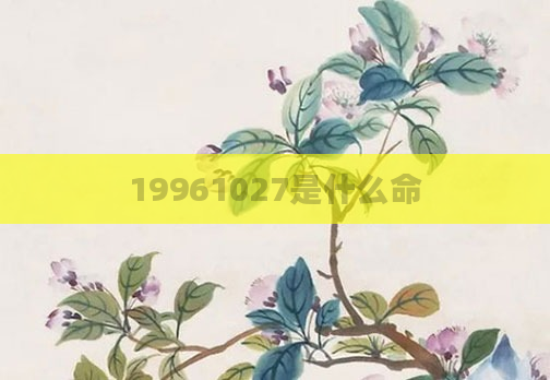 19961027是什么命