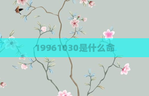 19961030是什么命