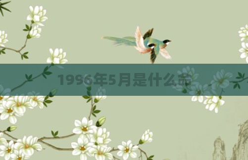 1996年5月是什么命