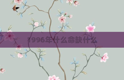 1996年什么命缺什么