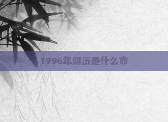1996年阴历是什么命