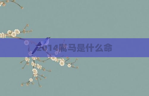 2014属马是什么命