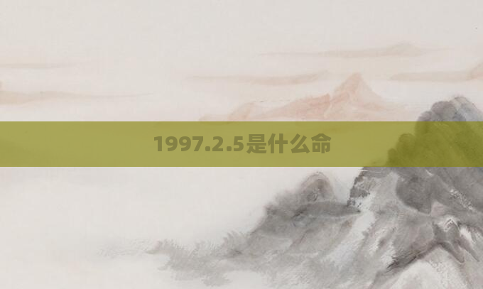 1997.2.5是什么命