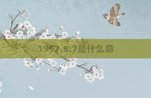 1997.8.7是什么命