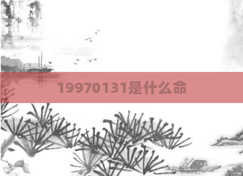 19970131是什么命