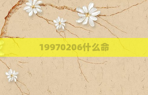 19970206什么命