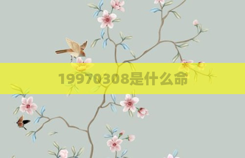 19970308是什么命