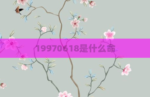 19970618是什么命
