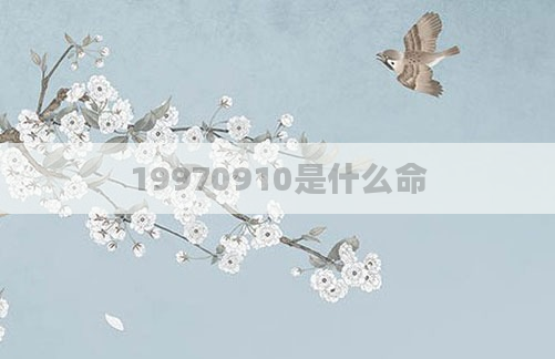 19970910是什么命