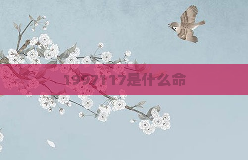 1997117是什么命