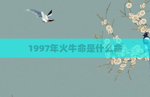 1997年火牛命是什么命